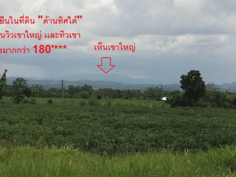 ไร่ละ9เเสน ราคาถูกสุดและดีสุดในย่านวังไทรนี้ ที่ดินโฉนด 10ไร่เศษ