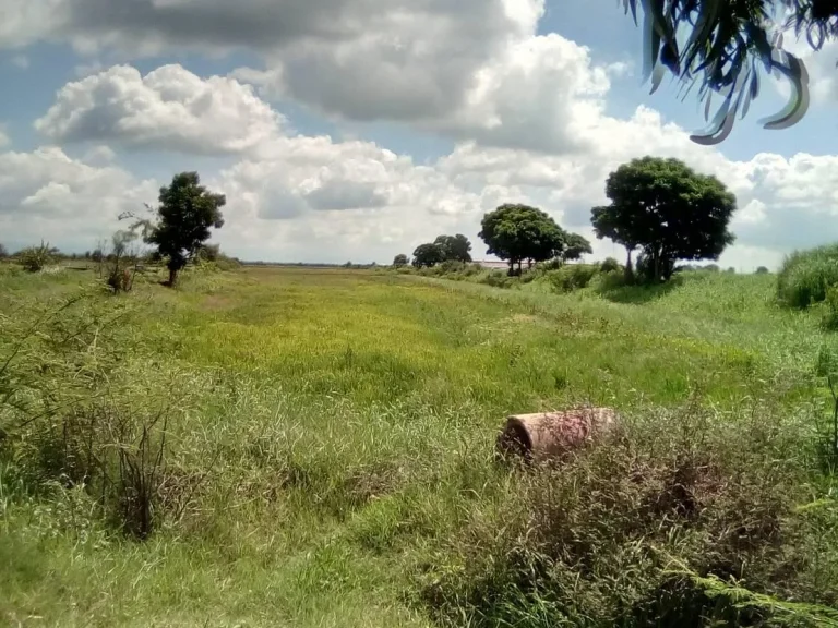 ขายที่ดิน 734 ไร่ ตศรีจุฬา อเมือง นครนายก 250000ไร่