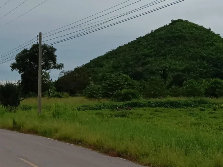 ขายที่ดิน นส 3 ก มี 5 ไร่ เศษ และ 7 ไร่ กว่า ติดถนนลาดยาง บนเนิน และชายเขา ท็อปวิวสวย