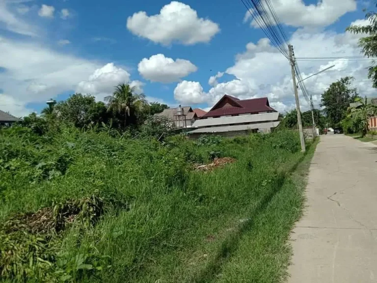 ขายที่ดินหนองหอย สันป่าเลี่ยง มหิดล ราคาถูก