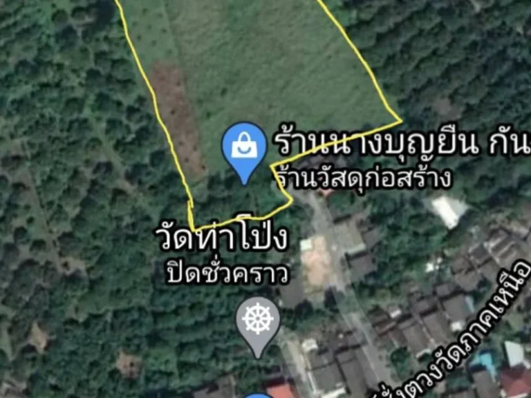 ขายสวนลำไยเก่าสันป่าตองเชียงใหม่