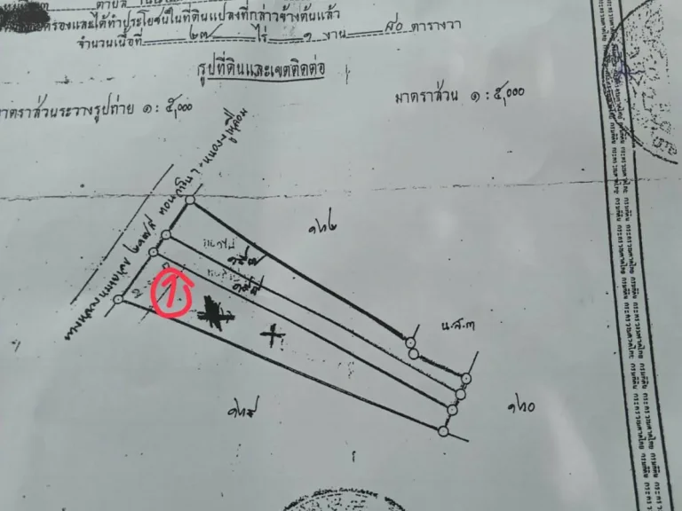 ที่ติดถนนเส้นวาริน-กันทรลัก พื้นที่17ไร่ขาย15000000 หน้าถนนใหญ่75มฝั่งขาออกเมืองวาริน ตรงข้ามบริษัทก้าวหน้าไก่สด1กม