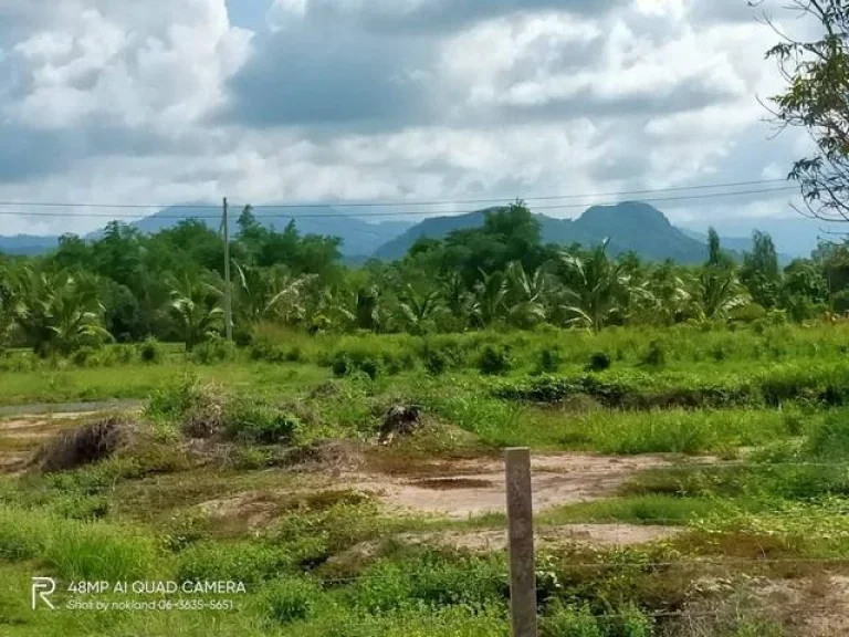 ขายที่ดิน รูปที่สวย ตพรหมณี เมืองนครนายก