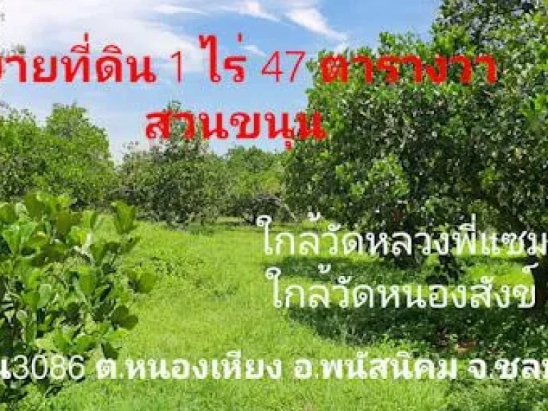 ขายที่ดิน 1 ไร่ 47 ตารางวา