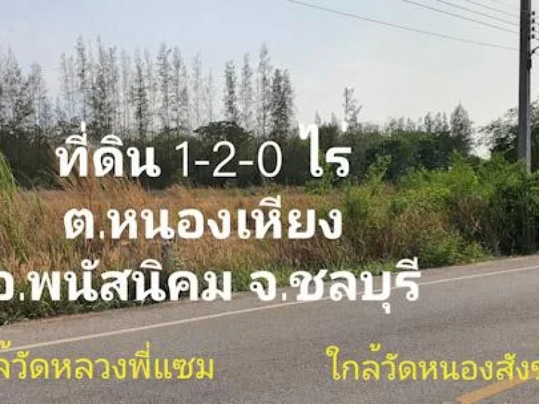 ขายที่ดิน 1-2-0 ไร่ ติดถนน ตหนองเหียง อพนัสนิคม จชลบุรี