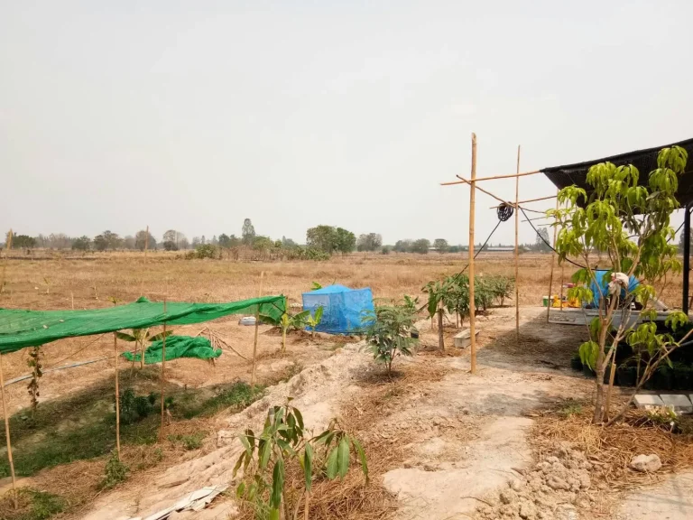 ขายที่ดิน5ไร่ติดถนนลาดยางติดทาง2ด้านราคาไร่ละ200000บาท