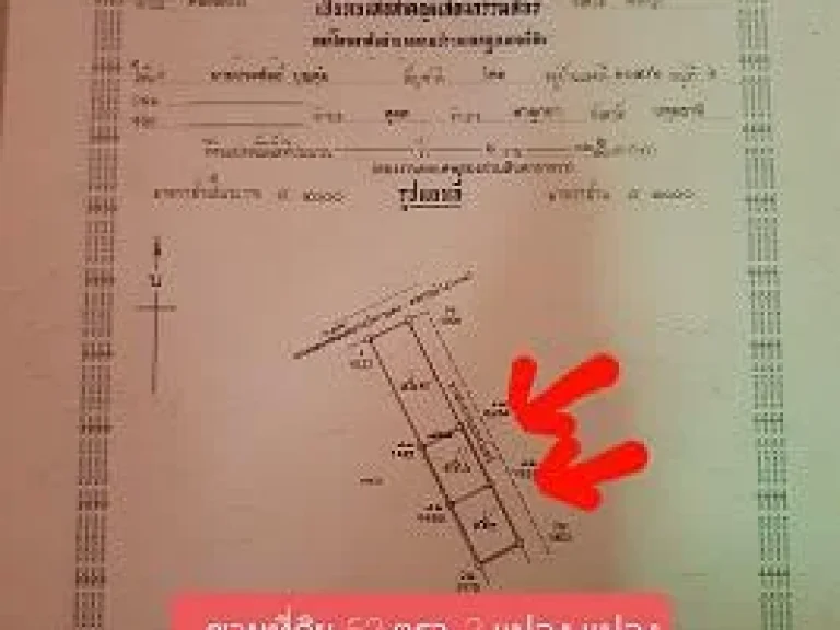 ขายที่ดิน ถมดินแล้ว ที่ดินติดถนนสาธารณะ น้ำ ไฟฟ้าพร้อม เนื้อที่ 53 ตรว ขาย 170000 บ