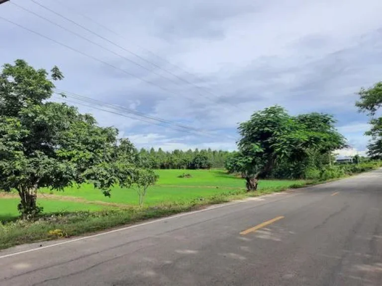 ที่ดินโฉนด8ไร่ติดถนนลาดยางมีเพื่อนบ้านไฟฟ้าประปาพร้อม ตบ้านโคก อเมือง จเพชรบูรณ์