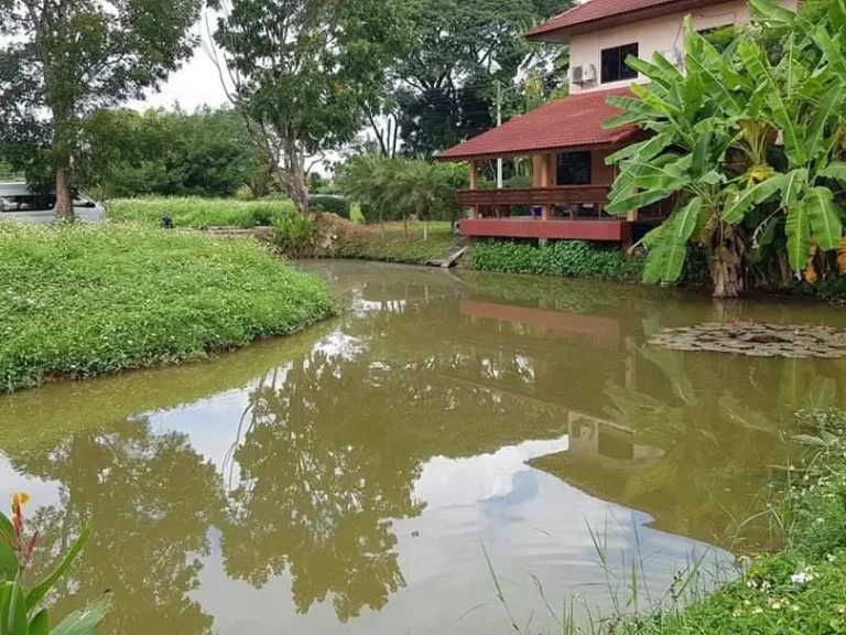 ขายที่ดินติดน้ำดอยสะเก็ต ในโครงการจัดสรร