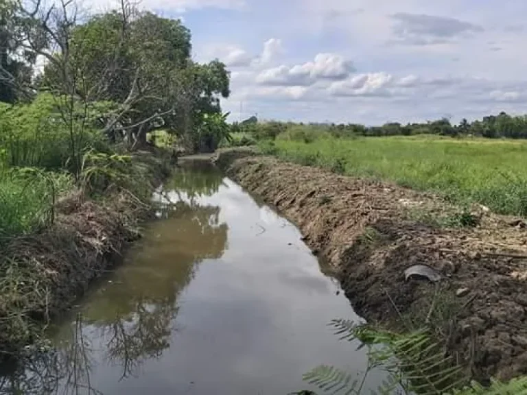 ขายที่ดินป่าบง สารภี ใกล้เมือง เชียงใหม่