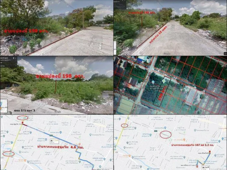 ถูกสุดๆ ขายที่ดินเปล่า 198 ตรว ซอยศรีด่าน 31 แยก 2 ตสำโรงเหนือ อเมืองสมุทรปราการ จสมุทรปราการ