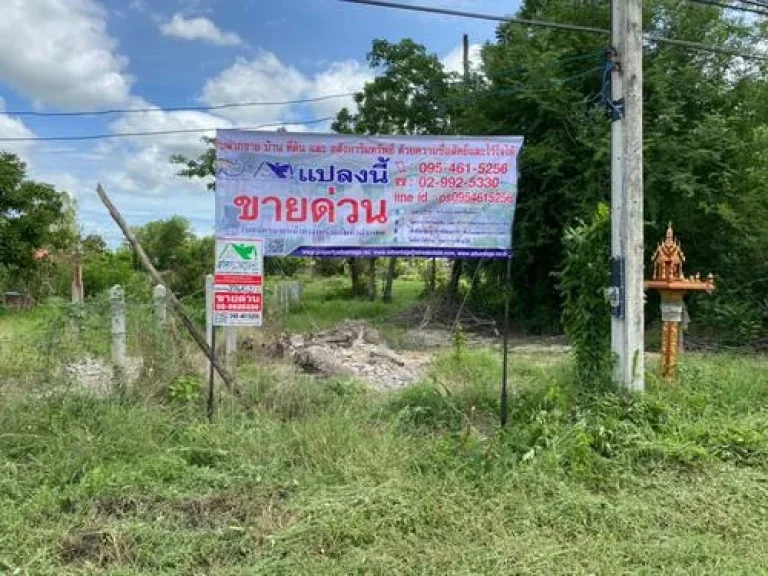 ที่ดิน1428 ตรว อบ้านด่านลานหอย จ สุโขทัย