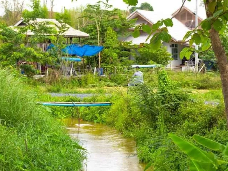 ขายที่ดินสันป่าตอง ติดน้ำวิวภูเขา ดอยสุเทพ