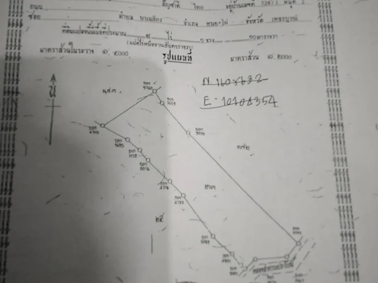 ขายที่ดินราคาพิเศษ 8-1-10 ไร่ หนองไผ่ จเพชรบูรณ์