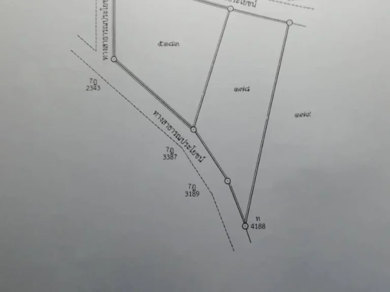 6-3-71ไร่ผังเหลือง