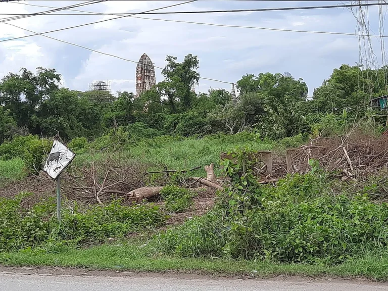 35 ที่ดินแห่งเมืองโบราณสถาน 3 ไร่ ตบ้านป้อม อพระนครศรีอยุธยา จอยุธยา