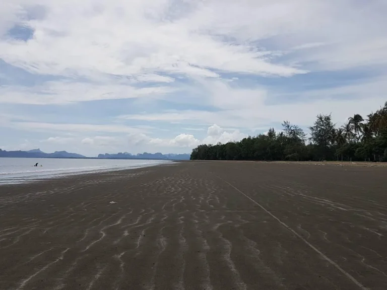 ขายที่ดินราคาถูก ติดทะเล ชายหาดสวย