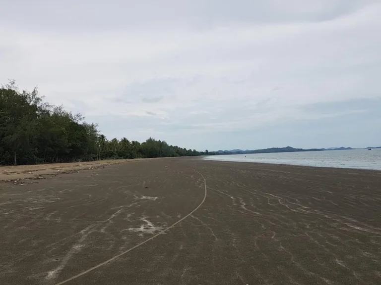 ขายที่ดินติดชายหาด วิวทะเล ราคาถูก