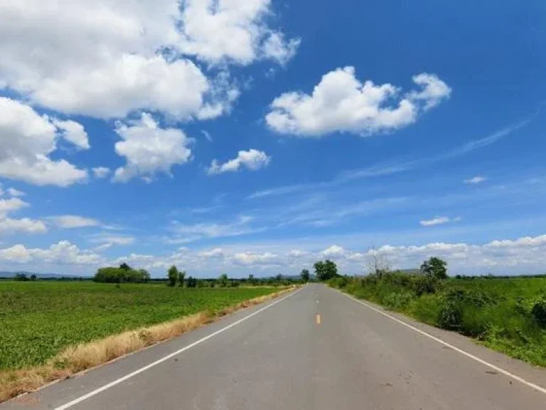 ขายที่ดิน19ไร่ ติดถนนลาดยาง200เมตร อโคกสำโรง จลพบุรี