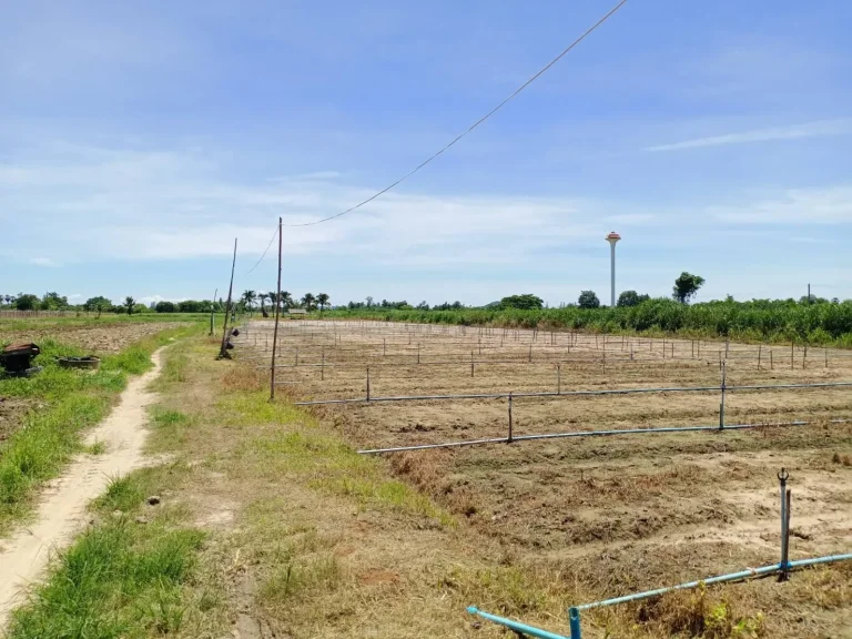 ขายที่ดิน10ไร่เศษหลังโรงเรียนบ้านพุค่ายถนนทุ่งหลวง-วัดสันติการาม ที่ดินเหมาะสมทำการเกษตรหรืออยู่อาศัยหลังเกษียณ2ล้าน