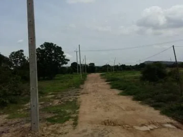 ขายที่ดินไม่แพง ที่ดินใกล้ทางหลวงแผ่นดิน ลพบุรี