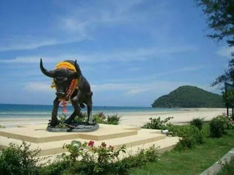 Sale Small land with Chanote Correctly very near Beach about 250 m Chumphon 1 Rai