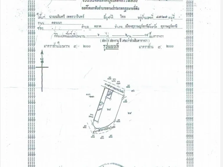 ขายที่ดิน ม5 ตบางใบไม้ อเมือง จสุราษฎร์ธานี