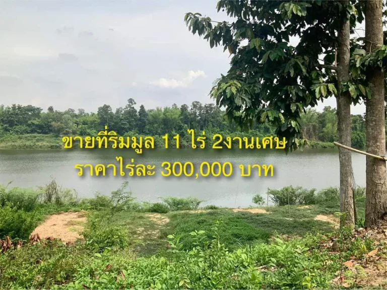 ที่ดินติดแม่น้ำมูลวิวสวย ใกล้ตัวเมือง 11 ไร่ ไร่ละ 300000 เท่านั้น