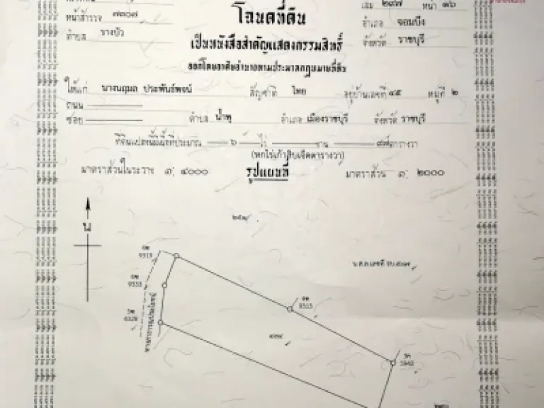 ที่ดิน ตรางบัว