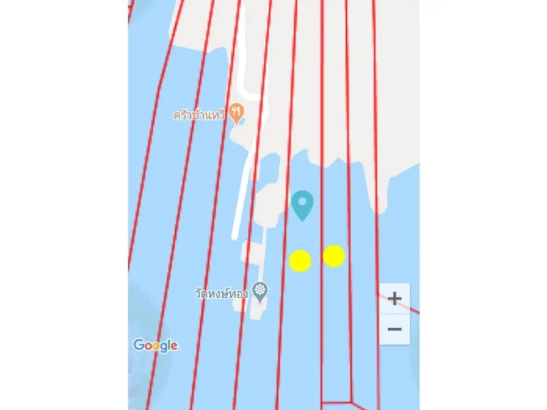 ขายที่ดิน บางปะกง ฉะเชิงเทรา ติดวัดหงษ์ทอง พื้นที่ 35 ไร่ 304 ตรว ที่ดินติดทะเล