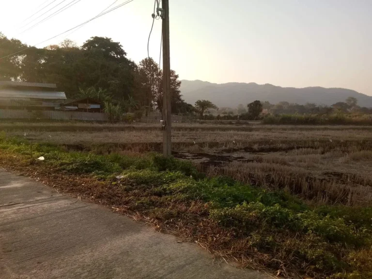 ที่สวย4ไร่ในชุมชนหมู่บ้านติดถนนมัไฟฟ้้าน้ำปะปาวิวเขา