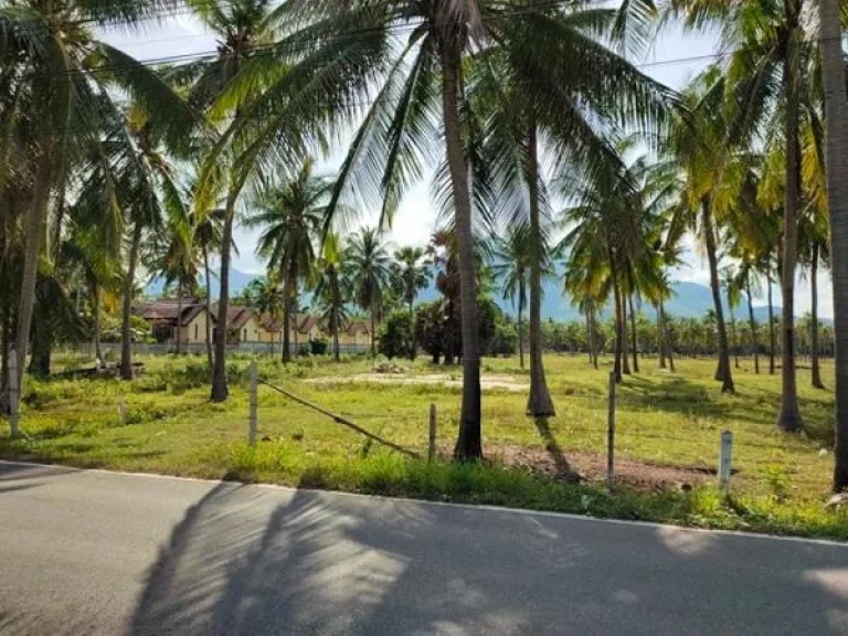 ขายที่ดิน ติดทะเล หาดสามร้อยยอด 32 ไร่เศษ สามารถสร้างตึกสูงได้ เหมาะ สร้างโรงแรม รีสอร์ท