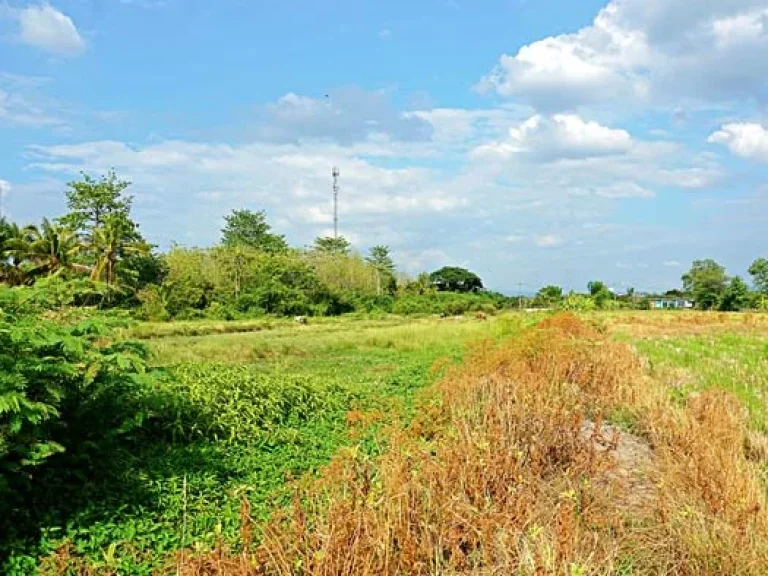 ขายที่ดิน ตำบลหนองแฝก อำเภอสารภี จังหวัดเชียงใหม่