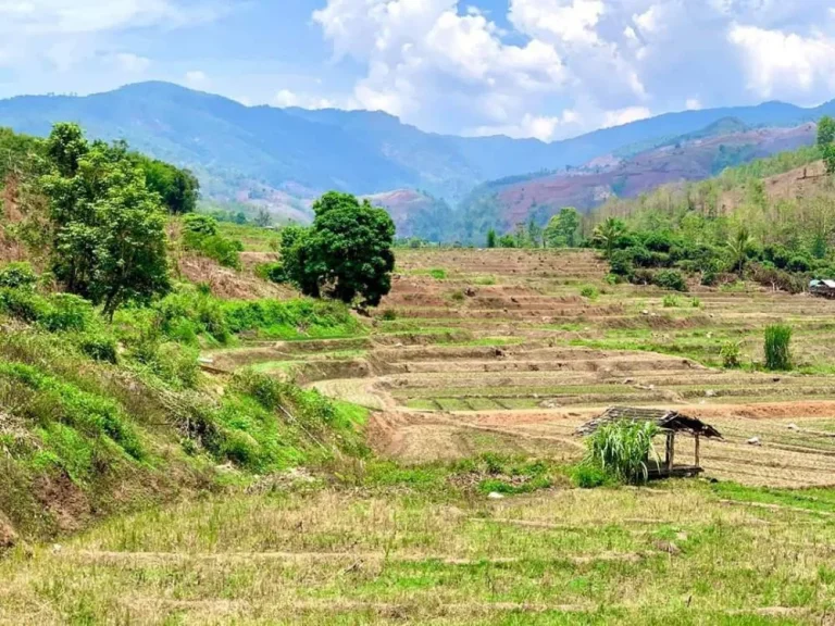 ขายที่ดินติดภูเขาขั้นบรรไดติดธารน้ำท่าผาเขตแม่แจ่ม ราคาถูก