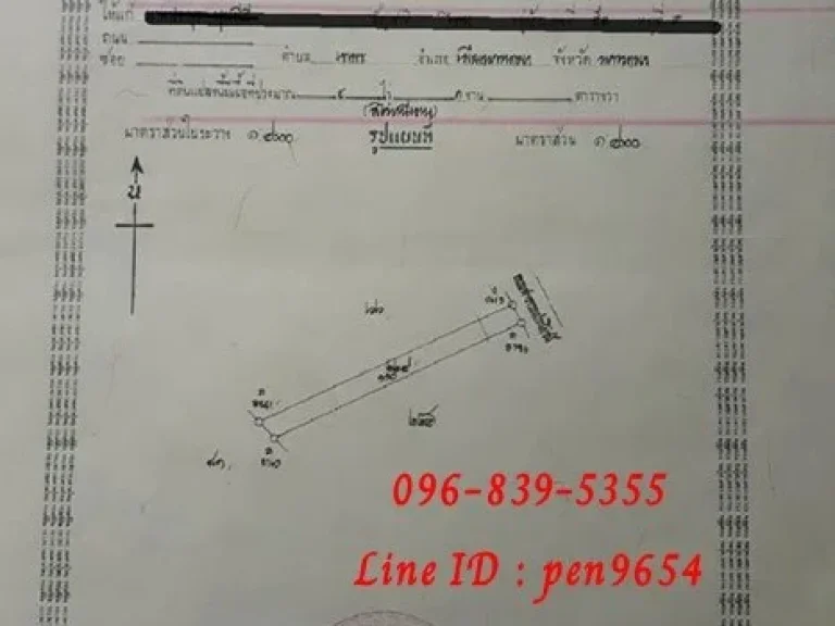 ขายที่ดิน 4 ไร่ 1 งาน ติดถนนหลักหลวง 3109