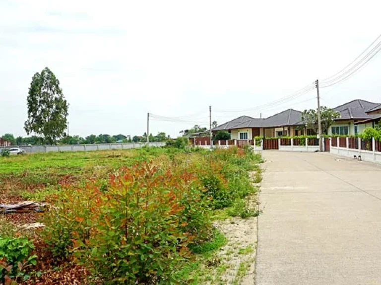 ขายที่ดิน ท่ารั้ว ตำบลสันปูเลย อำเภอดอยสะเก็ด ตำแหน่งอยู่ในบริเวณหมู่บ้านจัดสรร