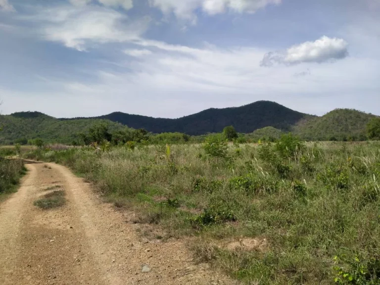 ขายที่ดิน 6 ไร่ วิวภูเขา ตกลัดหลวง อท่ายาง เพชรบุรี