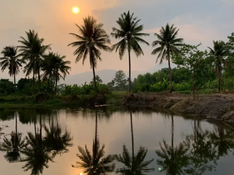 ขายที่ดิน 13 ไร่ 15 ล้านรวมโอน ทางขึ้นดอยอินทนนท์ เชียงใหม่