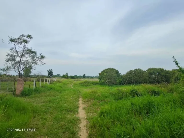 ขายที่ดินบ้านแหวน จัดสรรได้ ราคาถูก