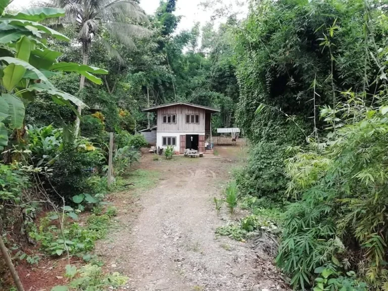 ขายบ้านสวนติดน้ำสามด้านแม่โป่งดอยสะเก็ต ราคาถูก