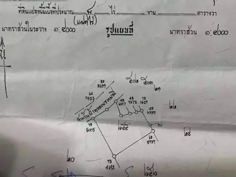 ขายที่ดินวิวเขาเพื่อการลงทุนแบบยกแปลง เนื้อที่ 8 ไร่ โฉนดครุฑแดงพร้อมโอน ตท่าช้าง อเมืองนครนายก