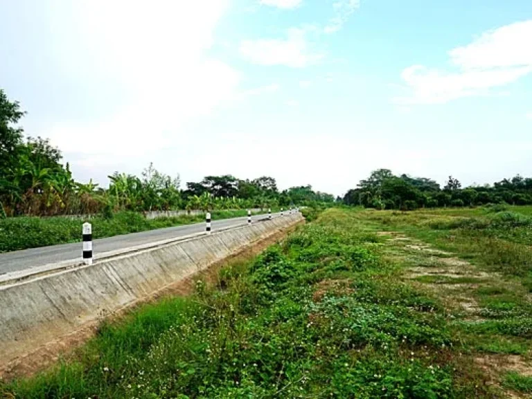 ขายที่นา ตำบลหนองแก๋ว อำเภอหางดง เชียงใหม่ ใกล้ชุมชน น้ำชลประทานสมบูรณ์