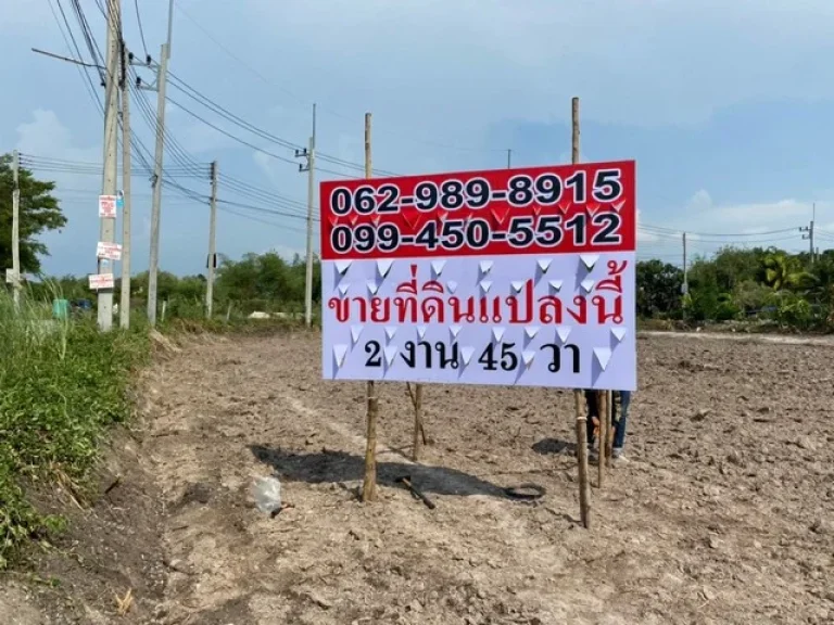 ขายที่ดิน 2งาน 45ตรว หนองตำลึง พานทอง ถศุขประยูร แถวย่านหมู่บ้าน และที่พัก