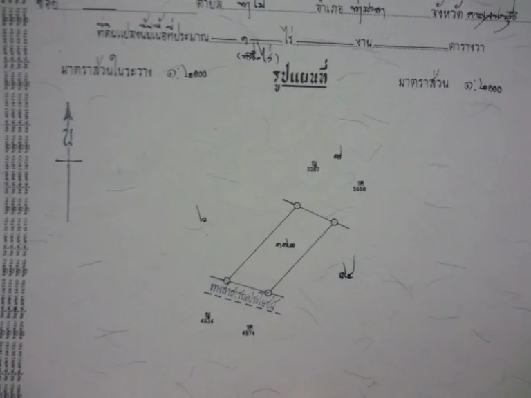 ที่ดิน1ไร่ ขาย1ล้าน ติดถนนสาธารณประโยชน์ เดินทางไปชายหาดสวนหลวง2กิโล