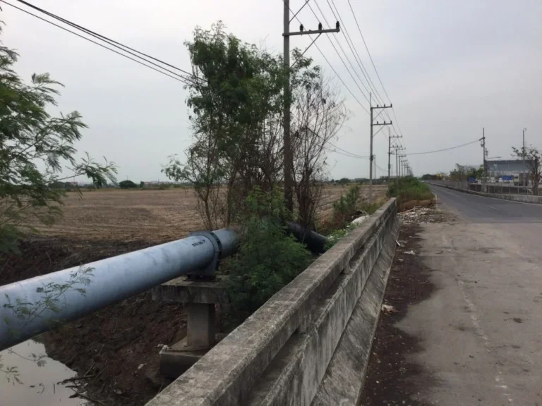 ขายที่ดิน บางนา- ตราด กม42 แปลงใหญ่ อำเภอบางปะกง จังหวัดฉะเชิงเทรา