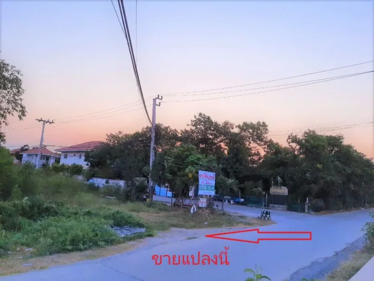 ที่ดินเปล่า 218 ตรว หน้าหมู่บ้านพิชามญช์ 3 บางบัวทอง นนทบุรี