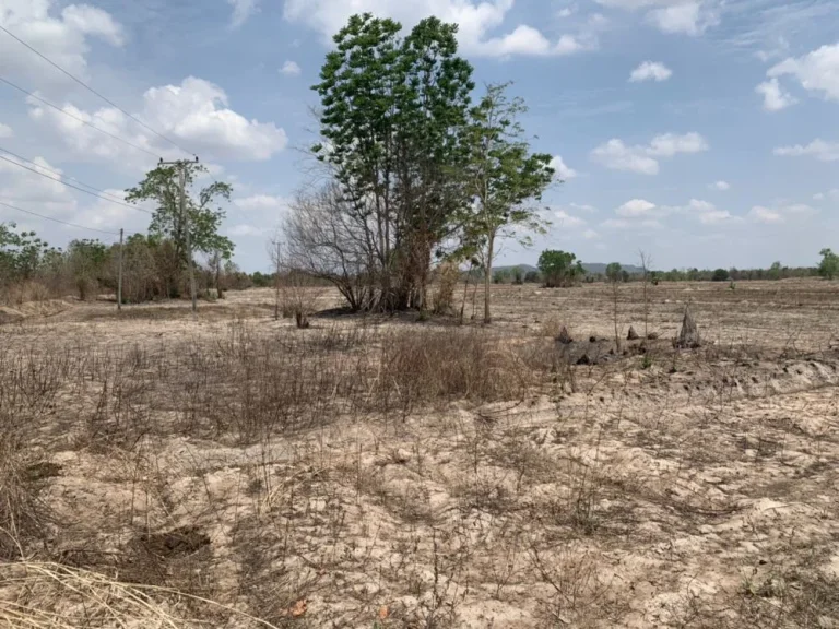 ที่ดิน374ไร่ หนองกระทุ่ม จอุทัยธานี ที่ดินพื้นใหญ่374 acres of Uthai Thani