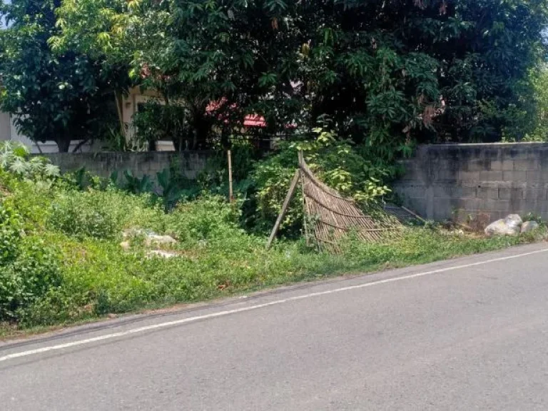 ขายที่ดินติดถนนสองด้าน แม่เหียะ เขตเมือง เชียงใหม่