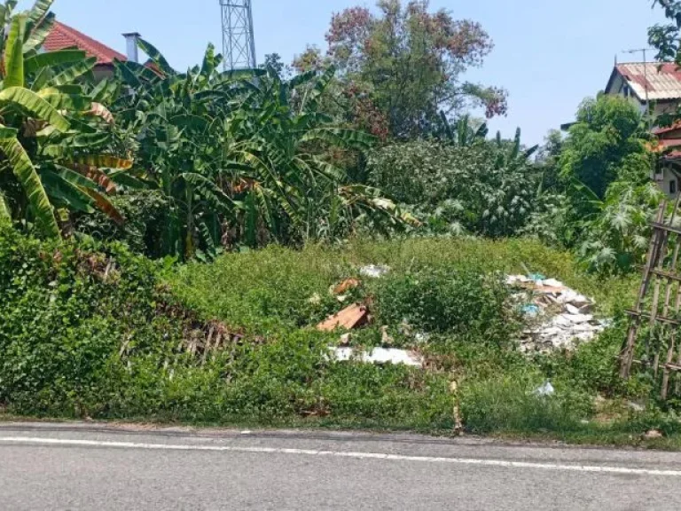 ขายที่ดินติดถนนสองด้าน แม่เหียะ เขตเมือง เชียงใหม่