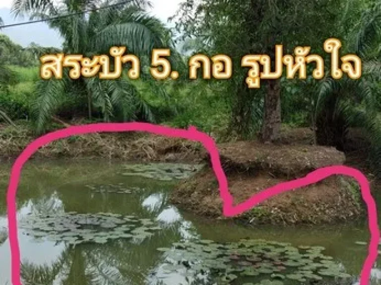 ขายบ้านสวน2ชั้นใต้ถุนโล่งพร้อมเรือนแถว รวม5ห้องนอนแอร์6เครื่อง3ห้องน้ำ1ห้องครัวใหญ่ ที่จอดรถได้5คัน